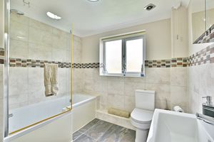 Photo 19- click for photo gallery